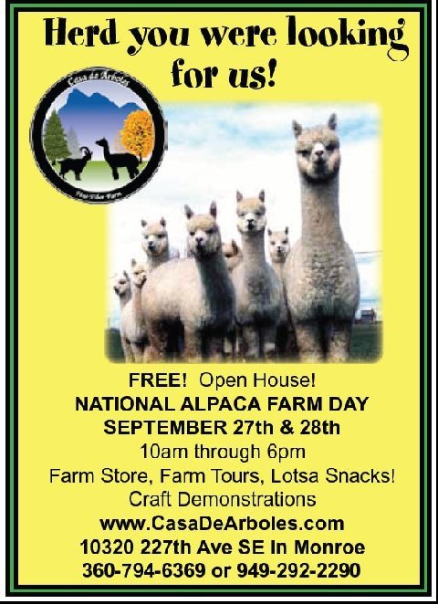Alpaca Days